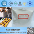 White Deep sea Fish Collagen Used as Pharmaceutical